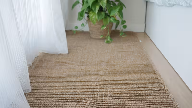 Cozy texture drug besid eapottedplantinabrightroom