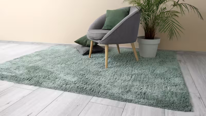 InteriorofLivingRoomwithGreenCarpetArmchairandPalmTree